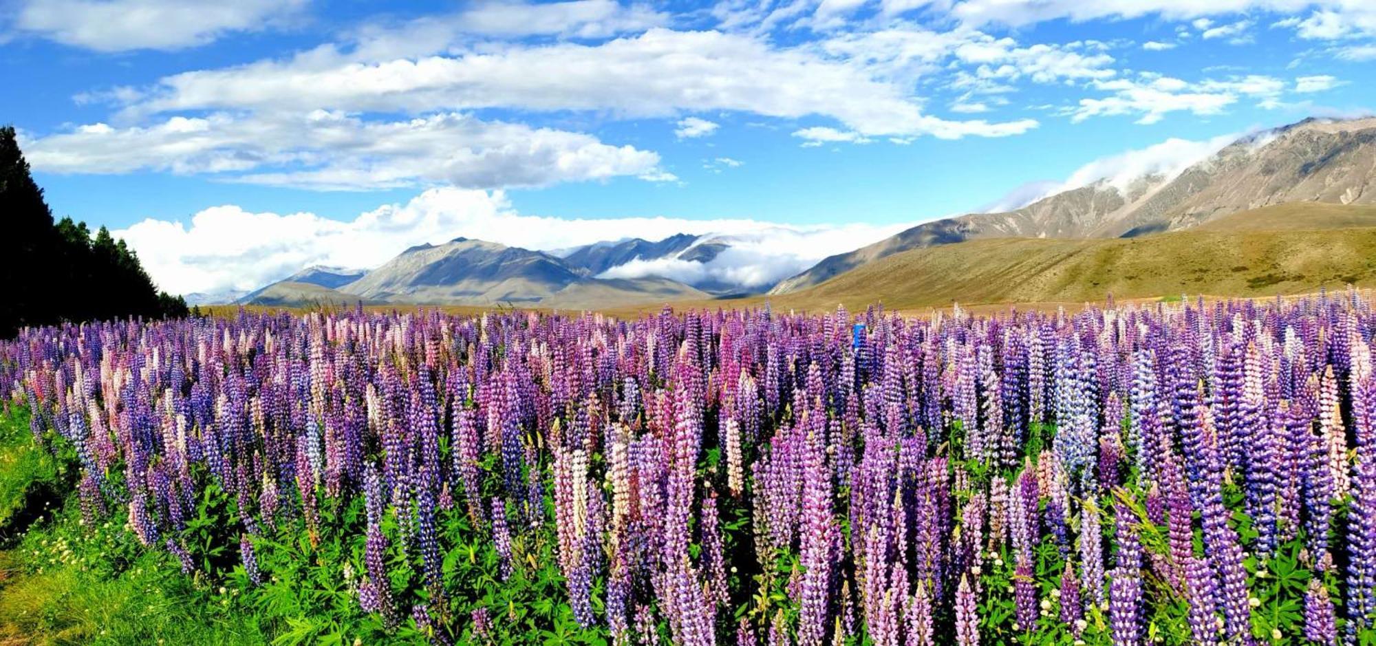 37 Galaxy A Διαμέρισμα Lake Tekapo Εξωτερικό φωτογραφία